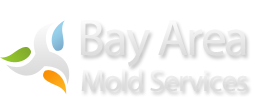 San Francisco Mold Removal and Inspection | Bay Area Mold Services logo